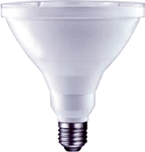 Beautiful Light Technology Corp.